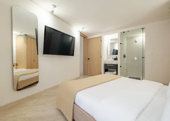 New 1bed With Rooftop Terrace Beside Parque Città del Messico